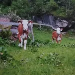 Krandlhof *