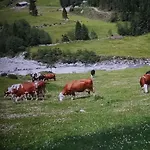Apartman Krandlhof Zell am Ziller