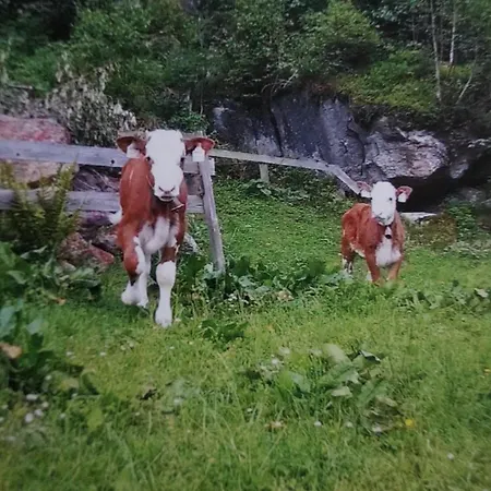 Krandlhof *