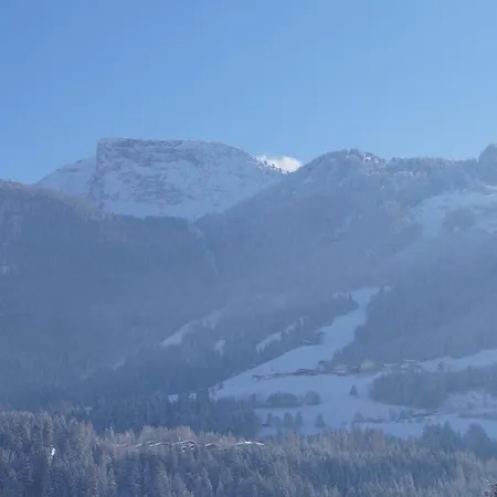 Lejlighed Krandlhof *