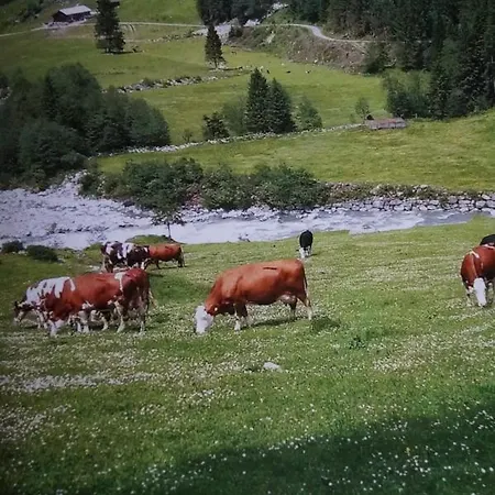 Daire Krandlhof Zell am Ziller